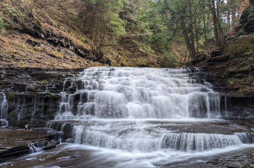Salt Springs State Park, Pennsylvania, USA